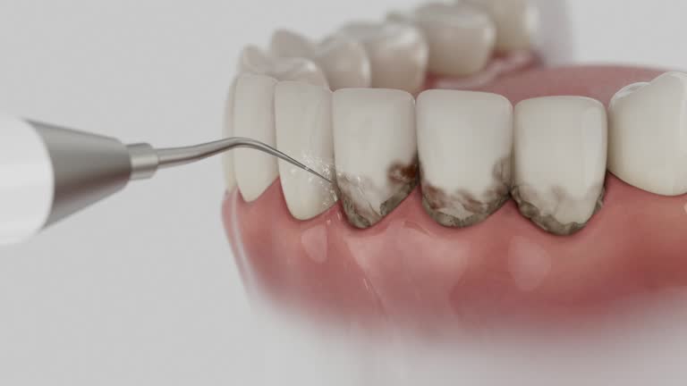 Reliable Dental contractor in Patterson, LA by Dentist Open Now